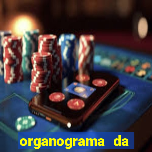 organograma da cacau show